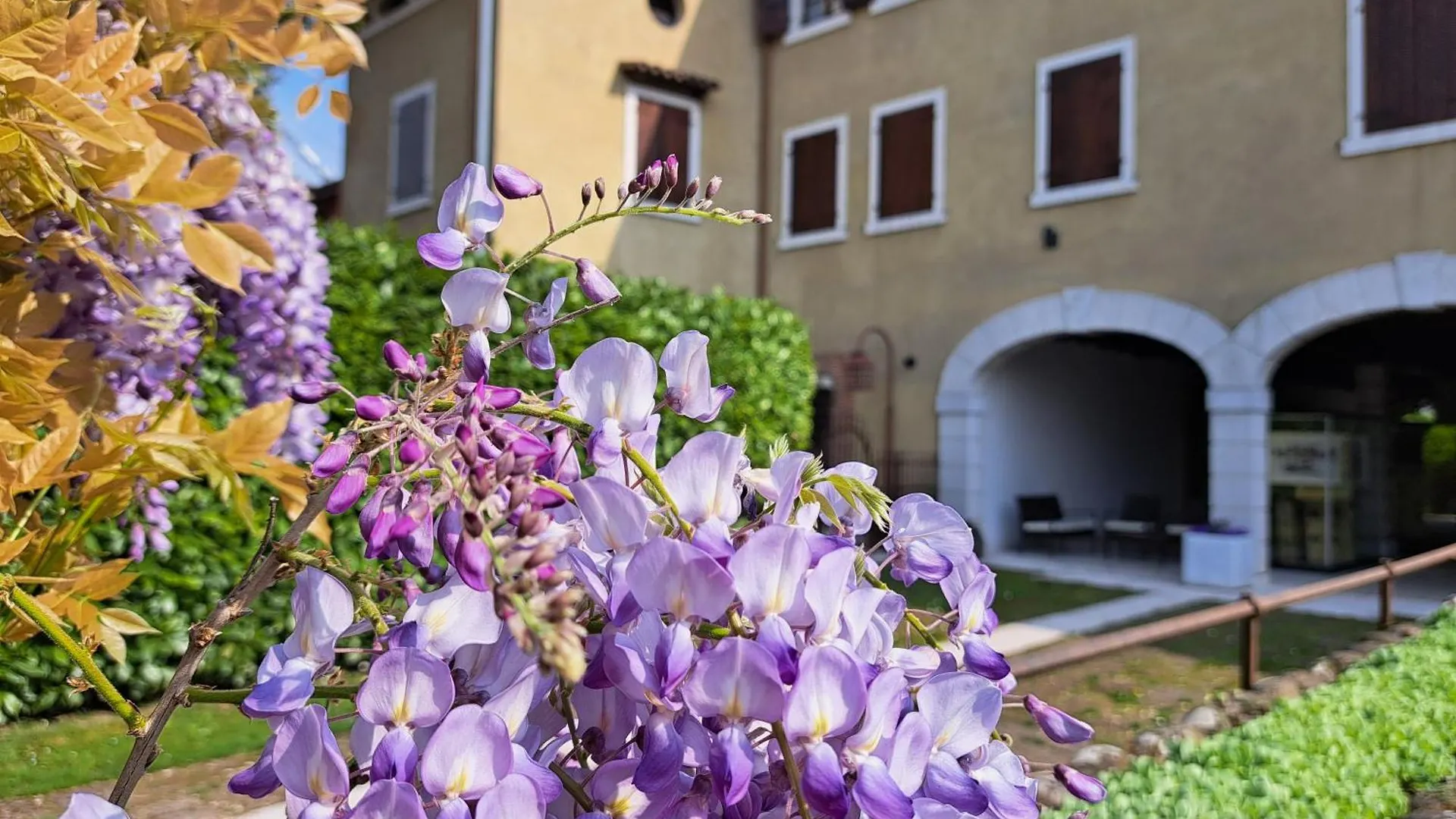 Corte Violeti Il Brolo Pescantina Apartment