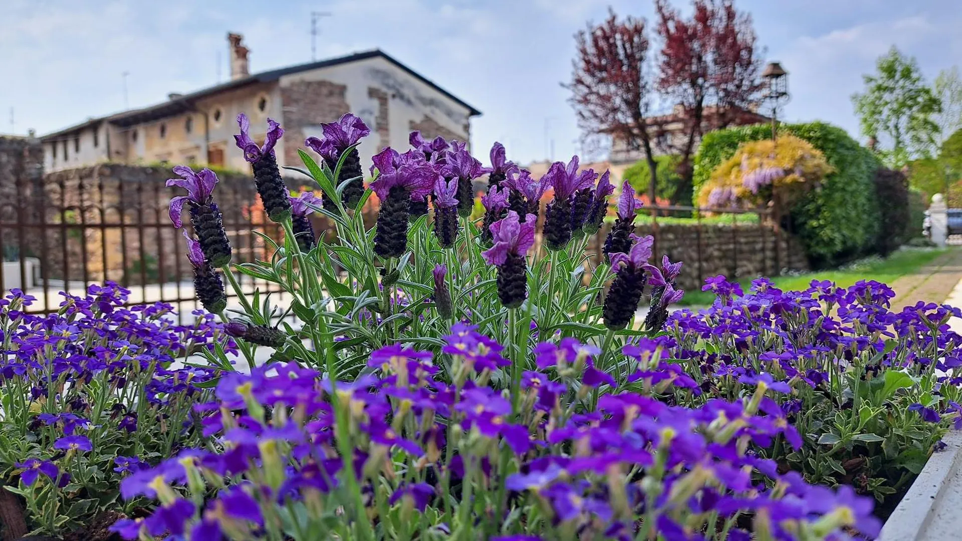 Apartment Corte Violeti Il Brolo Pescantina